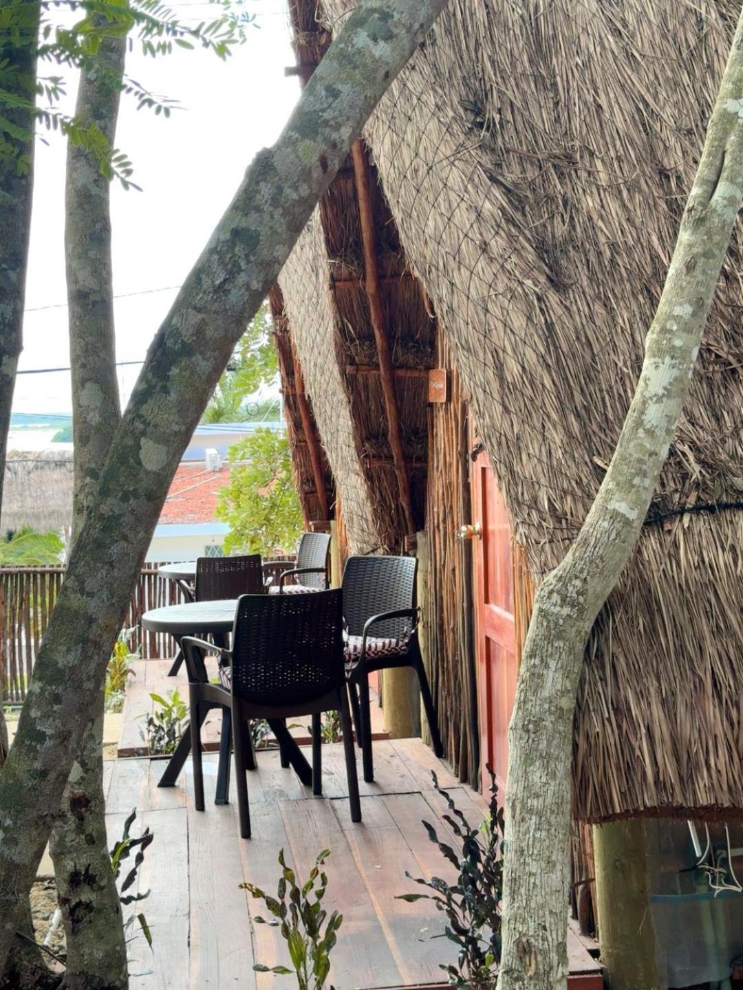 Hotel & Eco Cabanas Azul Maria 巴卡拉尔 外观 照片